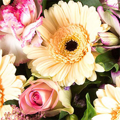 Florist Choice Funeral Spray
