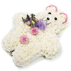 Teddy Tribute Pink