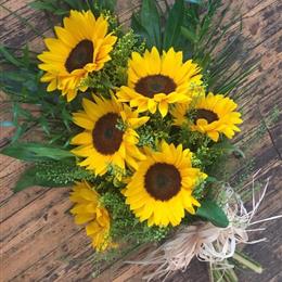 Sunflower Sheaf