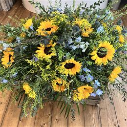 Wild Sunflower Spray