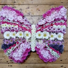 Butterfly Tribute