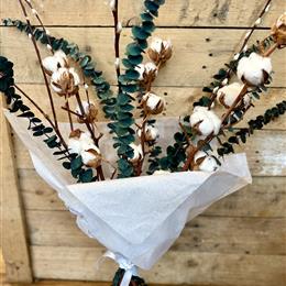 Dried Cotton Bouquet