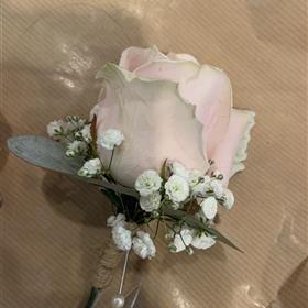 fwthumbA5C0855E-E78F-432B-B918-5397384BCC0F.jpg